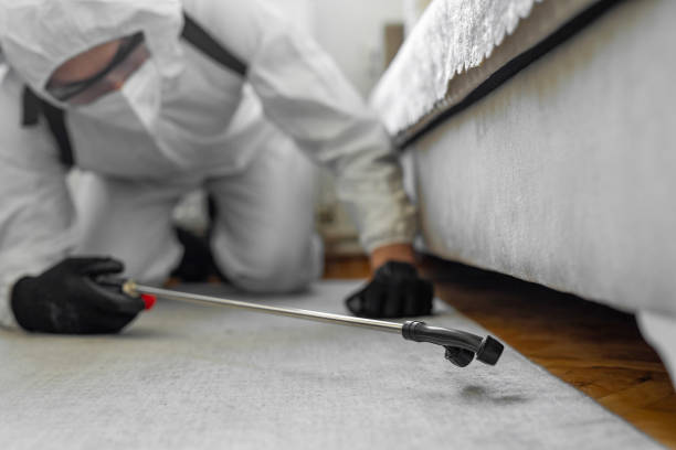 Professional Bed Bug Control technician working in Red Springs, NC