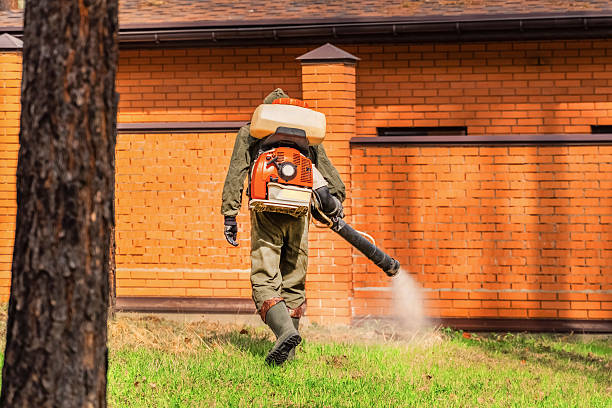 Trusted Bed Bug Control service in Red Springs, NC - Nex Pest Control